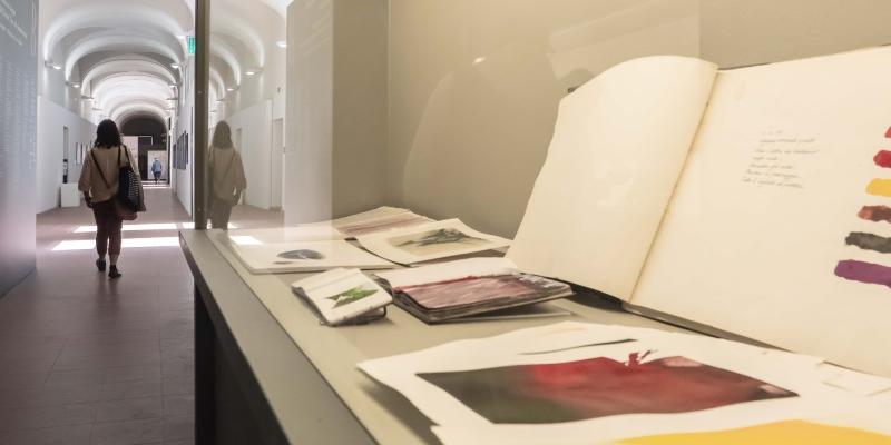 Museo - alla scoperta della Biennale del Disegno