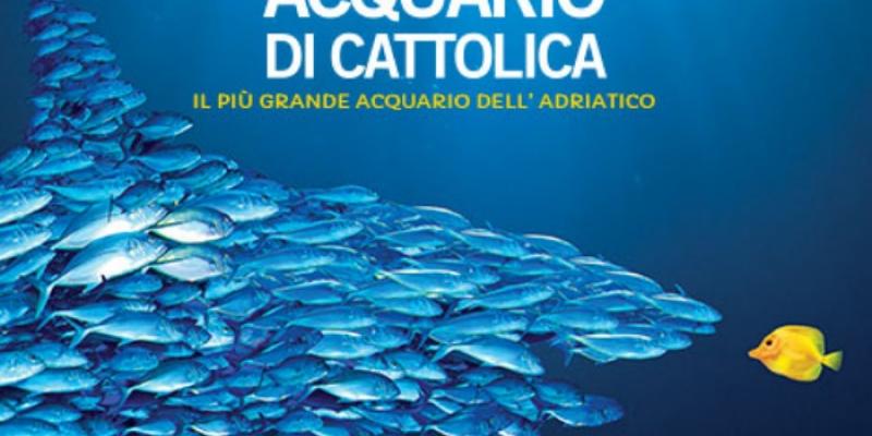 Cattolica's Aquarium