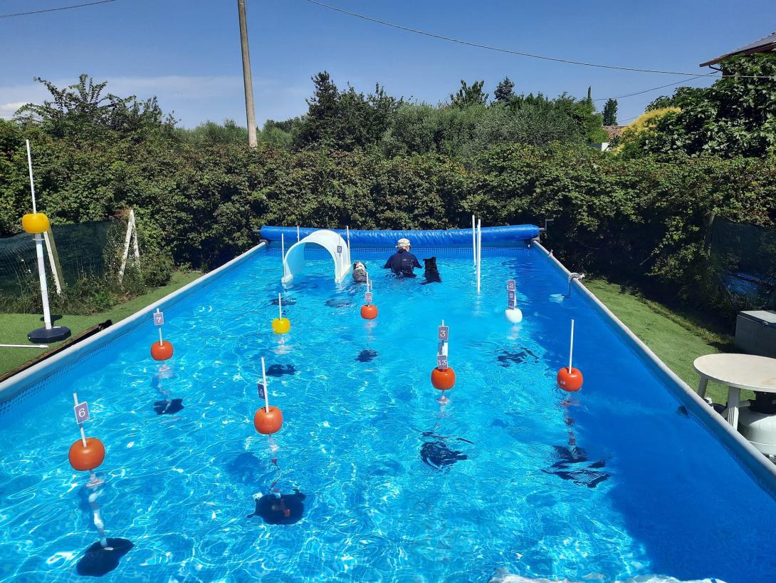 piscina del Centro Cinofilo Lago Riviera