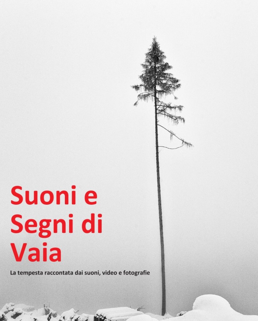 Suoni e Segni di Vaia