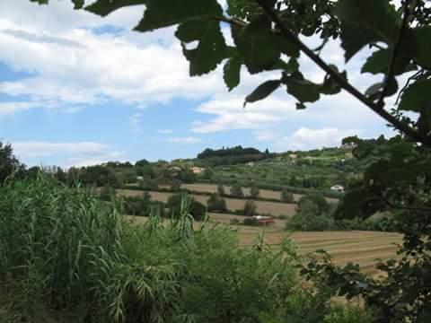 le verdi colline di Covignano