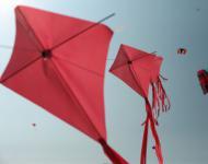 Kites Fly in Pink