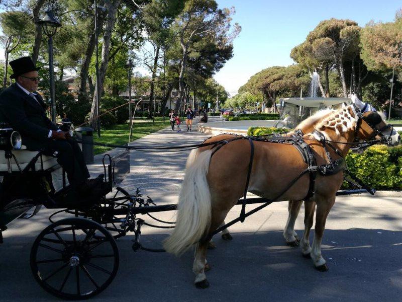 Vintage carriages in Rimini