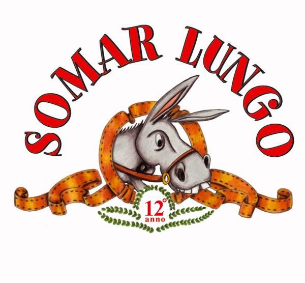 Logo Somarlungo