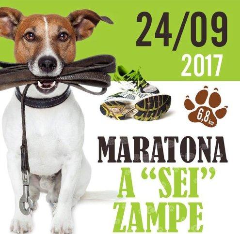 Maratona a 'sei zampe a Rimini