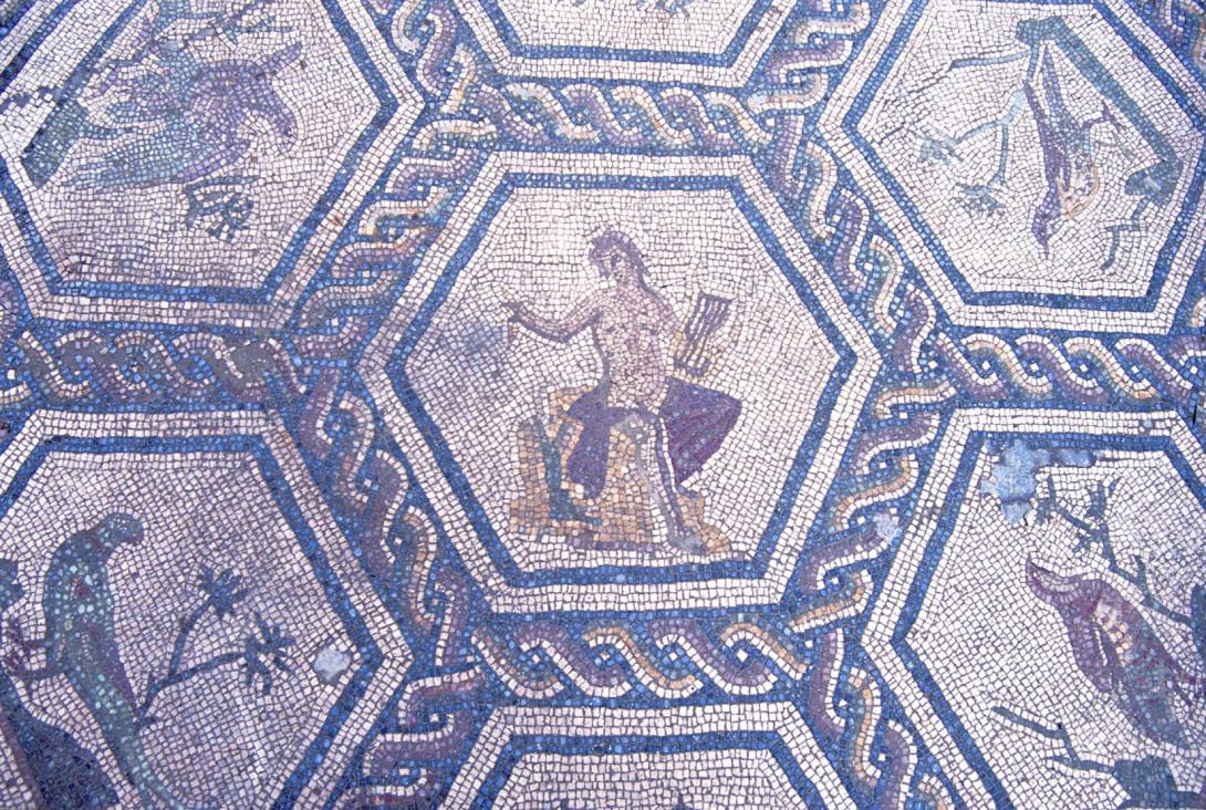 mosaici della Domus