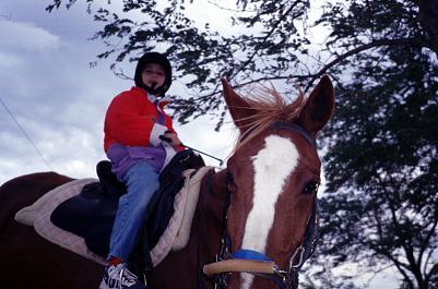 Horse riding in the countryside